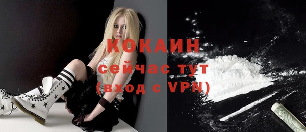 гашик Белокуриха