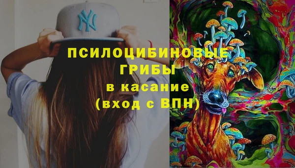 марки lsd Богданович