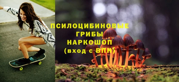 гашик Белокуриха