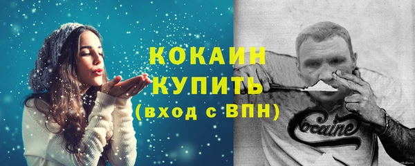 гашик Белокуриха
